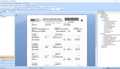Crystal Reports 2020